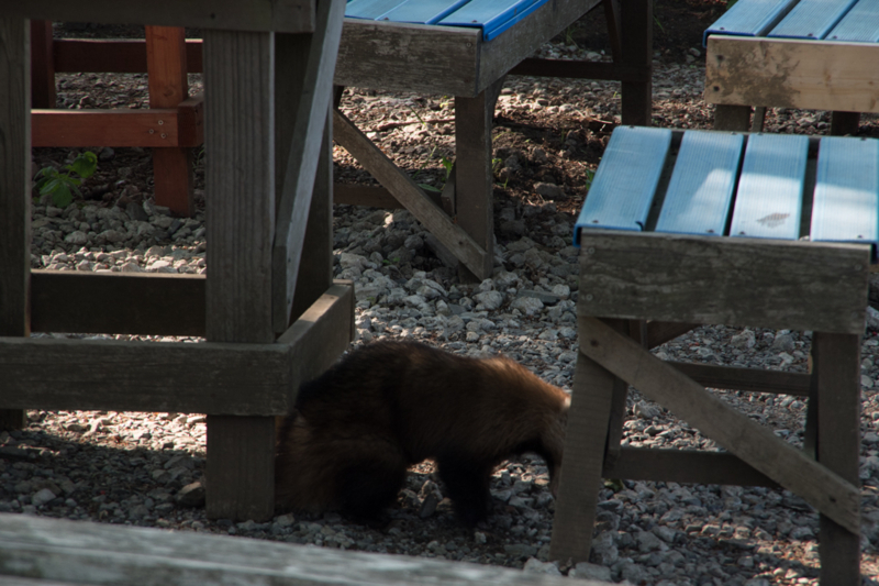 f:id:tenioso:20170604222845j:plain f:id:tenioso:20170604222845j:plain