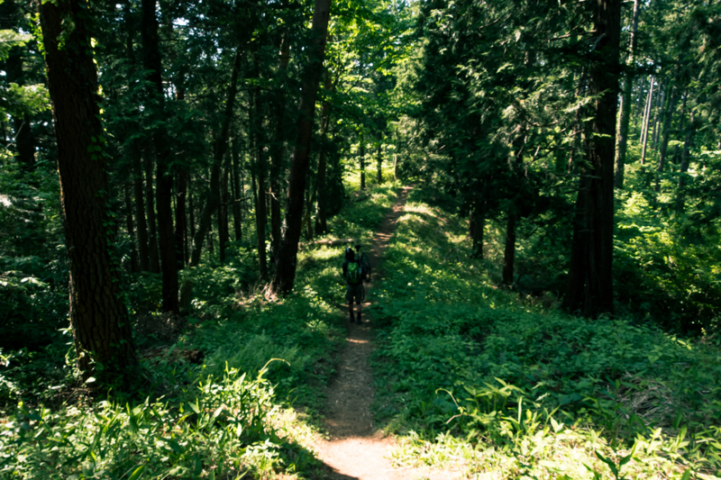 f:id:tenioso:20170604222857j:plain f:id:tenioso:20170604222857j:plain