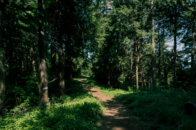 f:id:tenioso:20170604222858j:plain f:id:tenioso:20170604222858j:plain