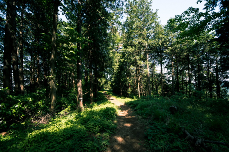 f:id:tenioso:20170604222859j:plain f:id:tenioso:20170604222859j:plain