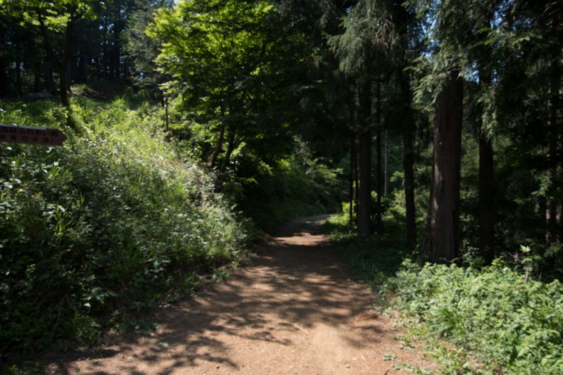 f:id:tenioso:20170604222901j:plain f:id:tenioso:20170604222901j:plain