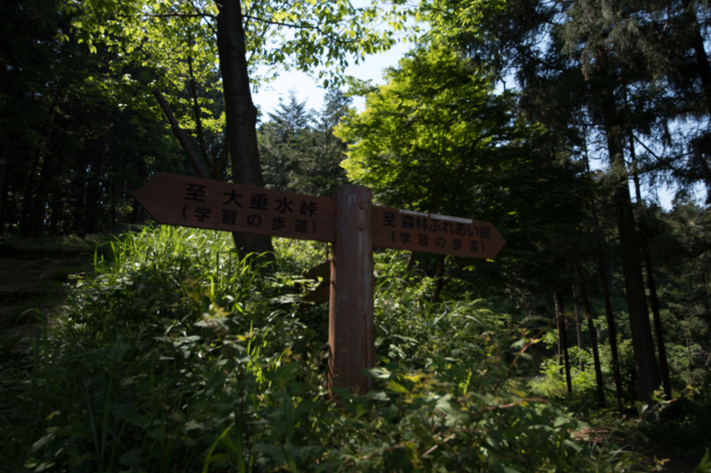 f:id:tenioso:20170604222902j:plain f:id:tenioso:20170604222902j:plain