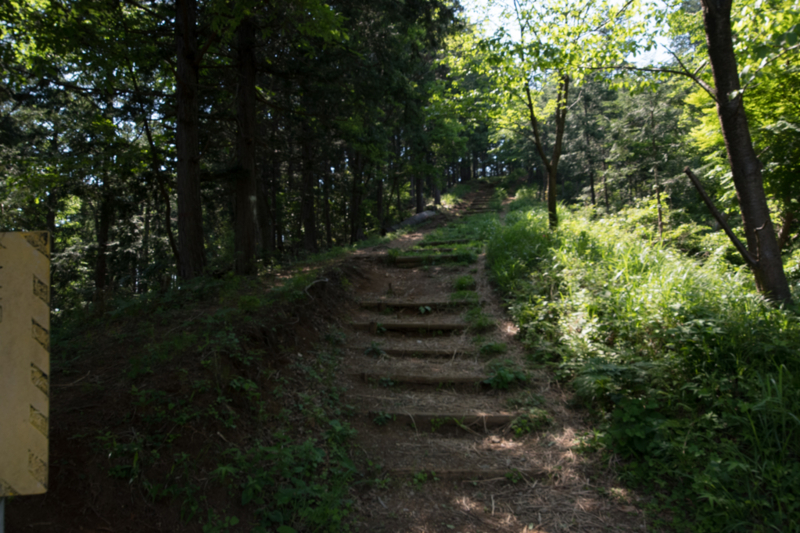 f:id:tenioso:20170604222904j:plain f:id:tenioso:20170604222904j:plain