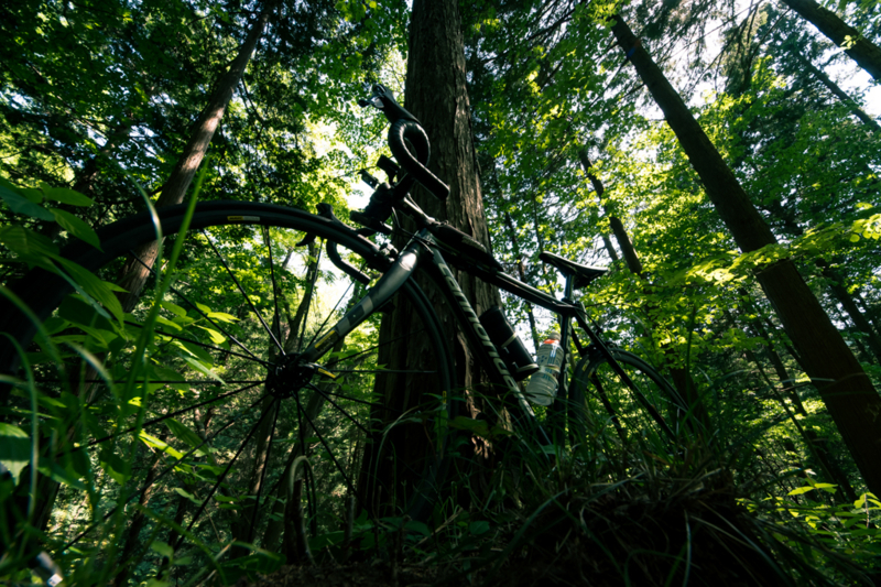 f:id:tenioso:20170604222908j:plain f:id:tenioso:20170604222908j:plain