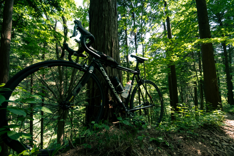 f:id:tenioso:20170604222909j:plain f:id:tenioso:20170604222909j:plain