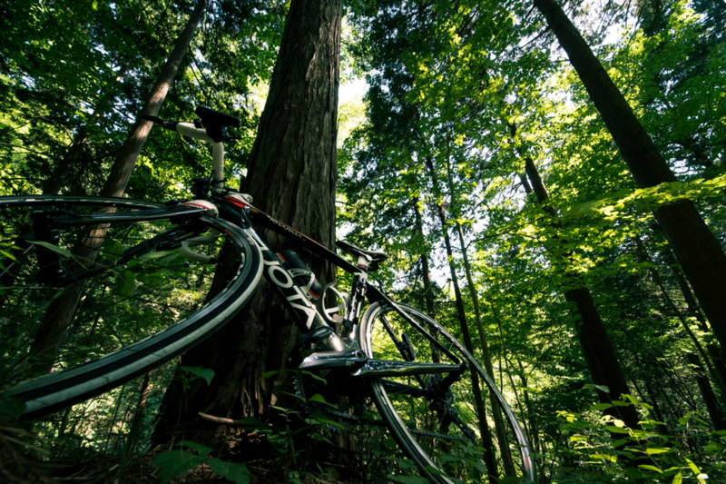 f:id:tenioso:20170604222912j:plain f:id:tenioso:20170604222912j:plain