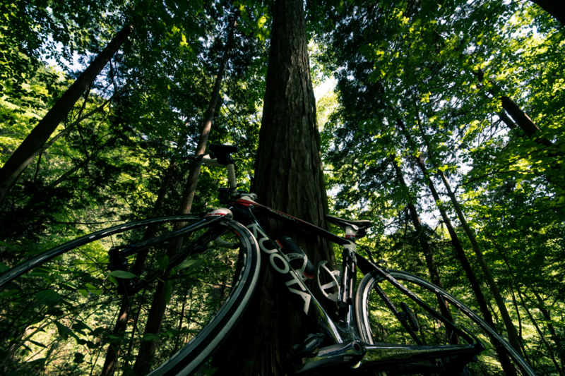 f:id:tenioso:20170604222913j:plain f:id:tenioso:20170604222913j:plain