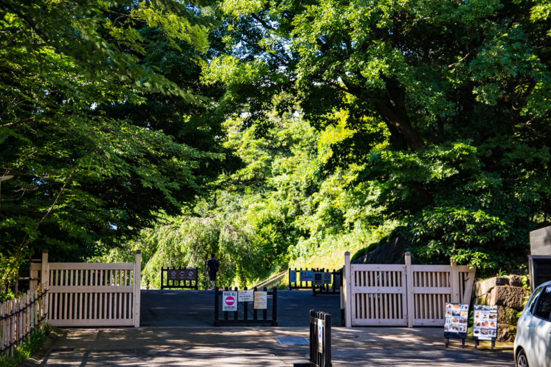 f:id:tenioso:20170902222112j:plain