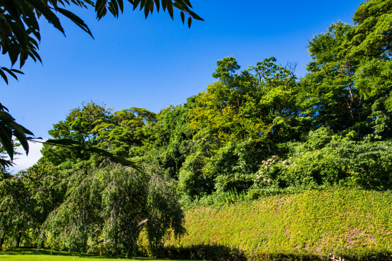 f:id:tenioso:20170902222113j:plain