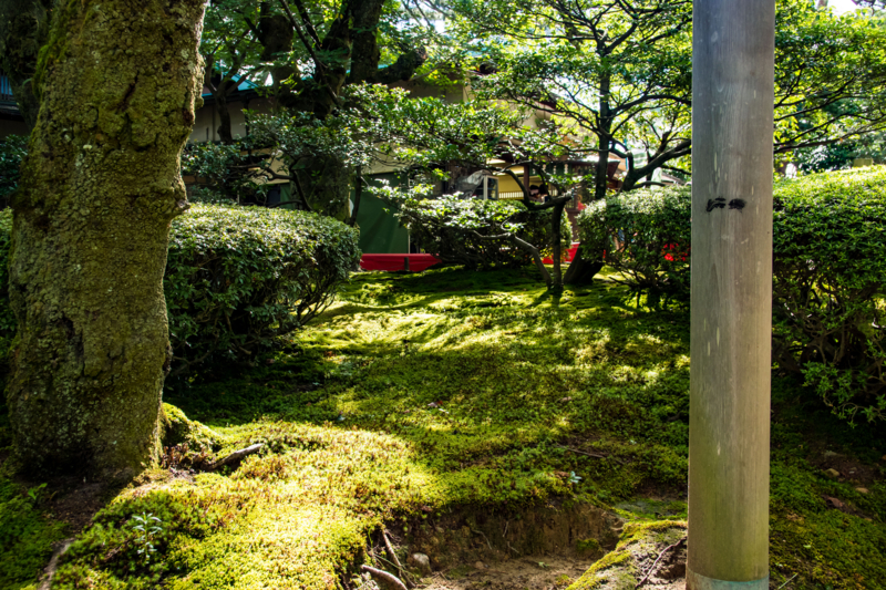 f:id:tenioso:20170902222124j:plain