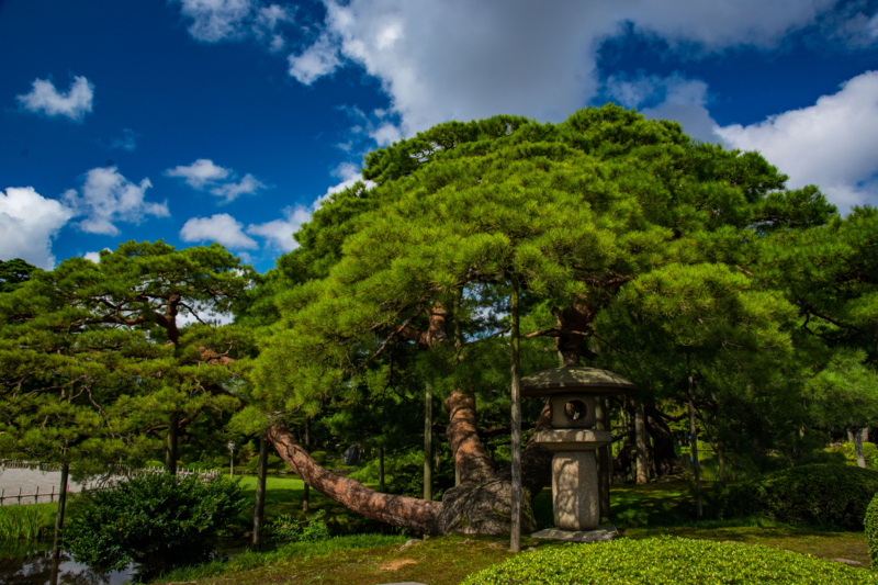 f:id:tenioso:20170902222127j:plain