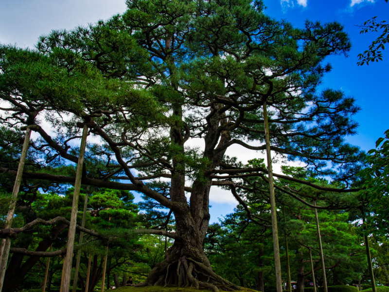 f:id:tenioso:20170902222139j:plain