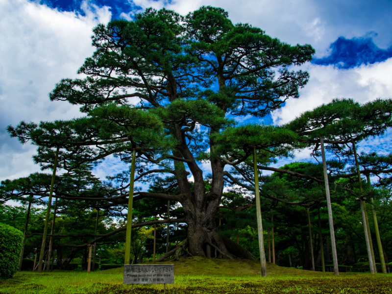 f:id:tenioso:20170902222140j:plain