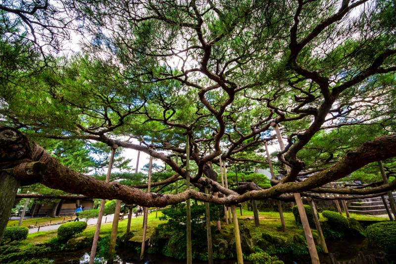 f:id:tenioso:20170902222143j:plain