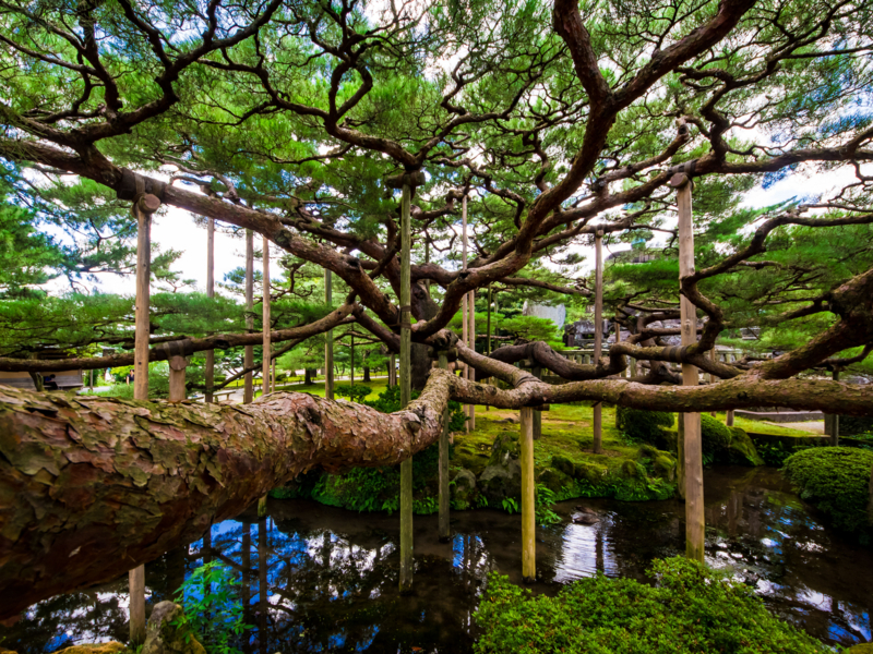 f:id:tenioso:20170902222144j:plain