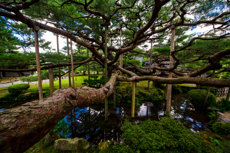 f:id:tenioso:20170902222145j:plain