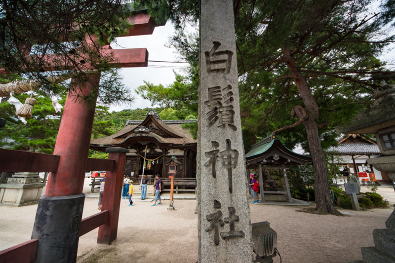 f:id:tenioso:20170902222239j:plain f:id:tenioso:20170902222239j:plain