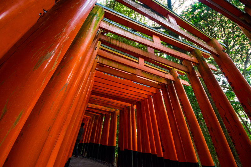 f:id:tenioso:20170902222255j:plain f:id:tenioso:20170902222255j:plain