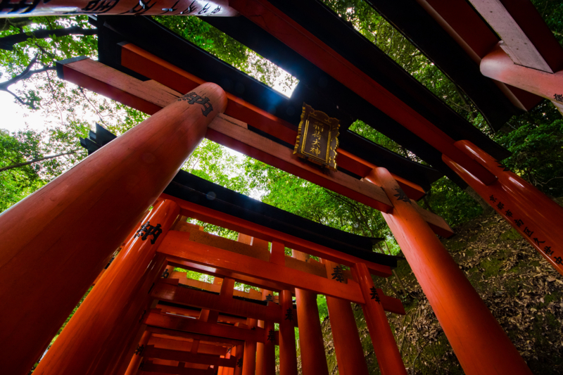 f:id:tenioso:20170902222256j:plain f:id:tenioso:20170902222256j:plain