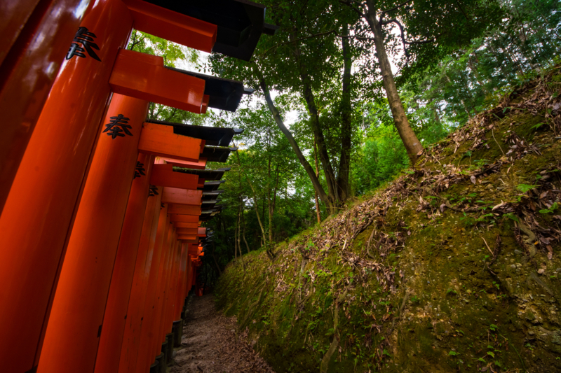 f:id:tenioso:20170902222257j:plain f:id:tenioso:20170902222257j:plain