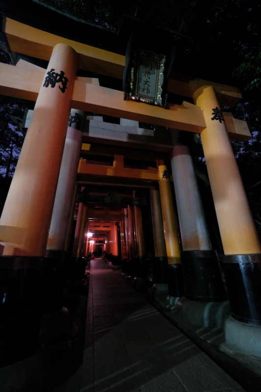 f:id:tenioso:20180108014902j:plain f:id:tenioso:20180108014902j:plain