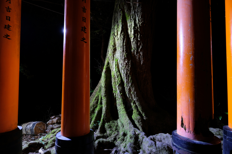 f:id:tenioso:20180108014910j:plain f:id:tenioso:20180108014910j:plain