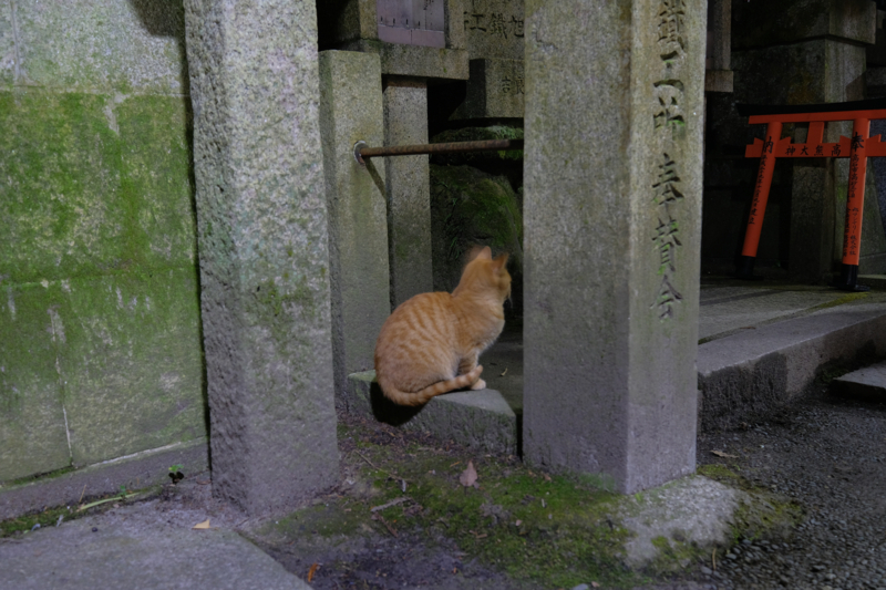 f:id:tenioso:20180108014913j:plain f:id:tenioso:20180108014913j:plain