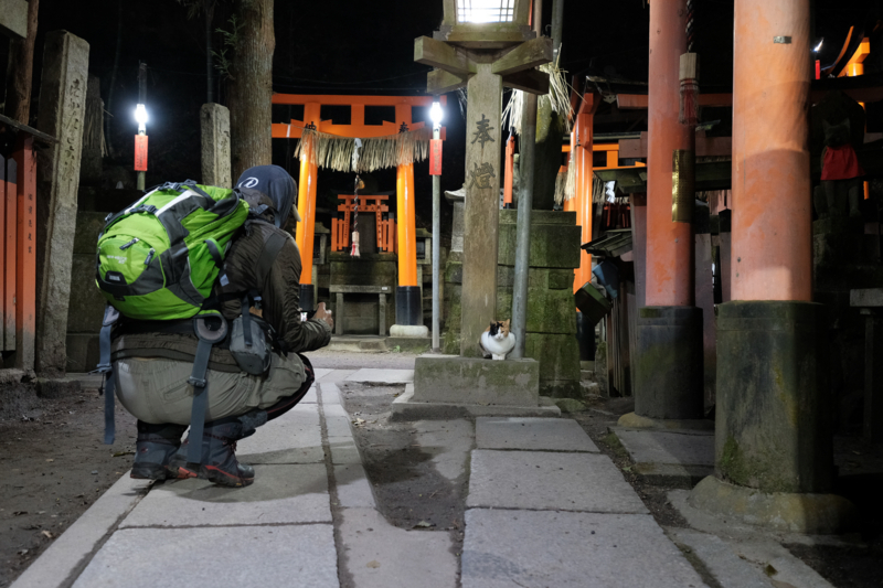 f:id:tenioso:20180108014914j:plain f:id:tenioso:20180108014914j:plain