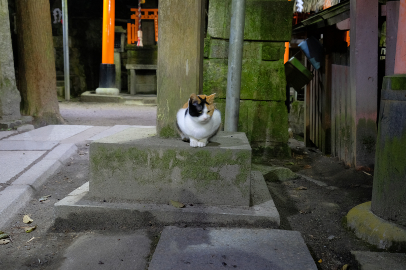 f:id:tenioso:20180108014915j:plain f:id:tenioso:20180108014915j:plain