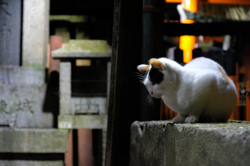 f:id:tenioso:20180108014918j:plain f:id:tenioso:20180108014918j:plain