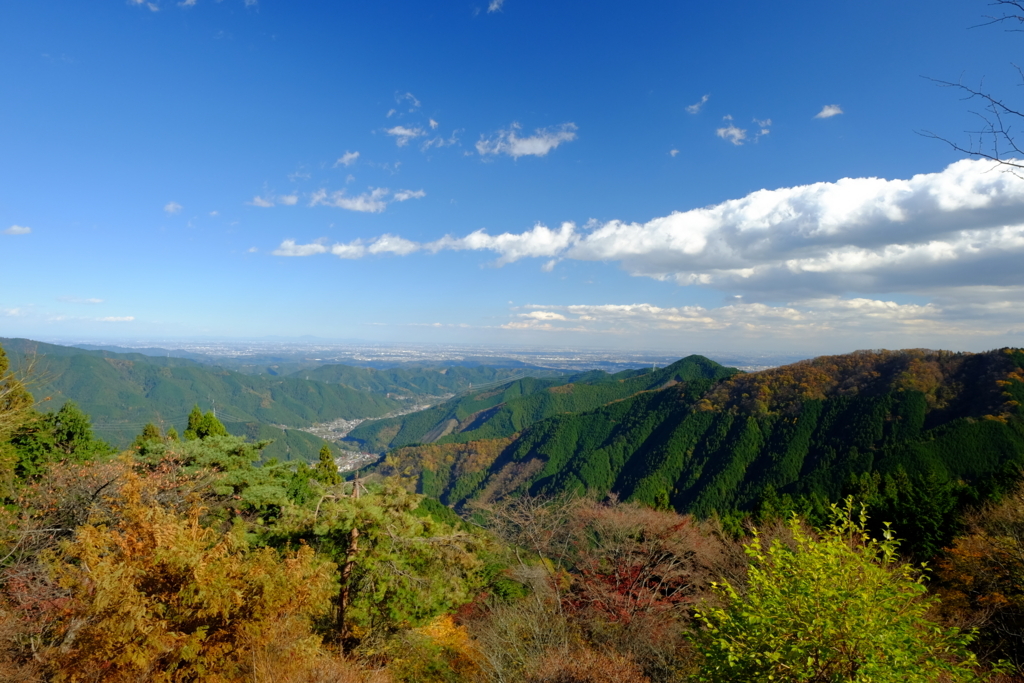 f:id:tenioso:20180111213319j:plain f:id:tenioso:20180111213319j:plain