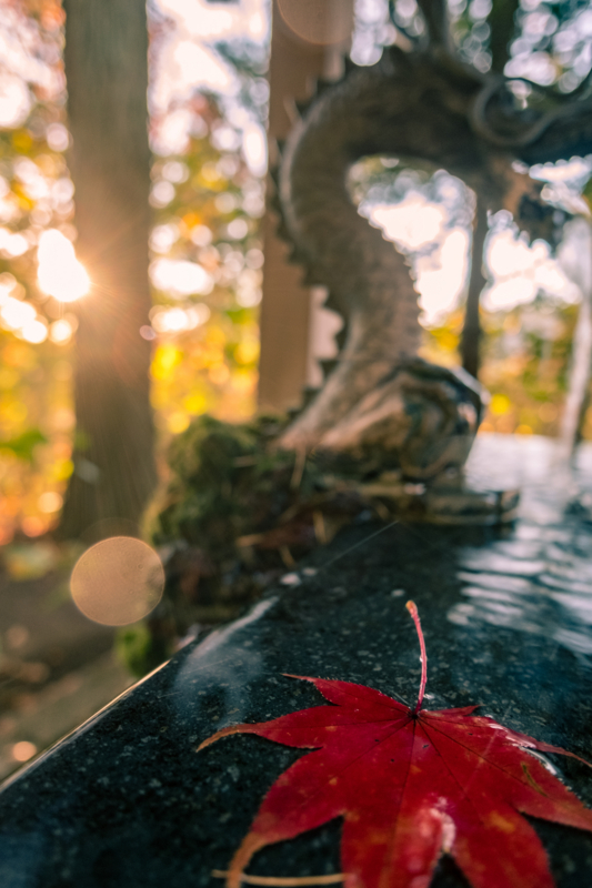 f:id:tenioso:20180111213542j:plain f:id:tenioso:20180111213542j:plain