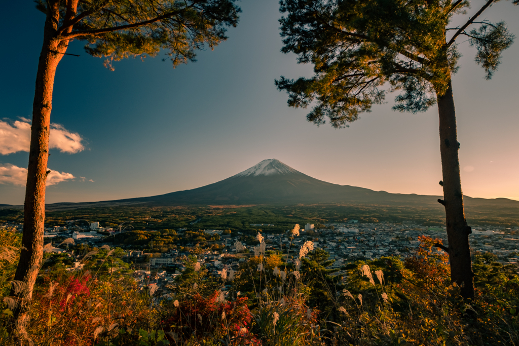 f:id:tenioso:20180111213553j:plain f:id:tenioso:20180111213553j:plain