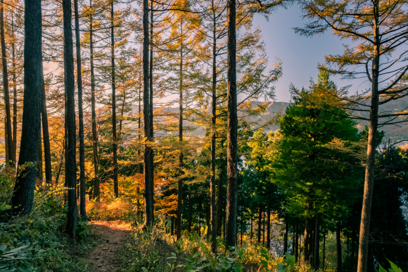 f:id:tenioso:20180111213611j:plain f:id:tenioso:20180111213611j:plain