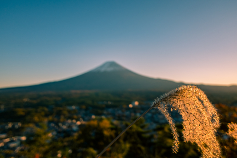 f:id:tenioso:20180111213729j:plain f:id:tenioso:20180111213729j:plain