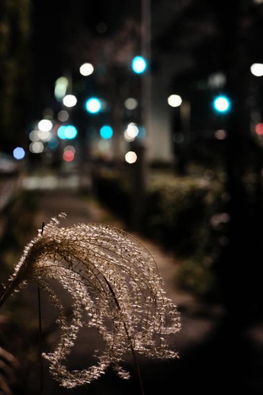 f:id:tenioso:20180317200142j:plain f:id:tenioso:20180317200142j:plain