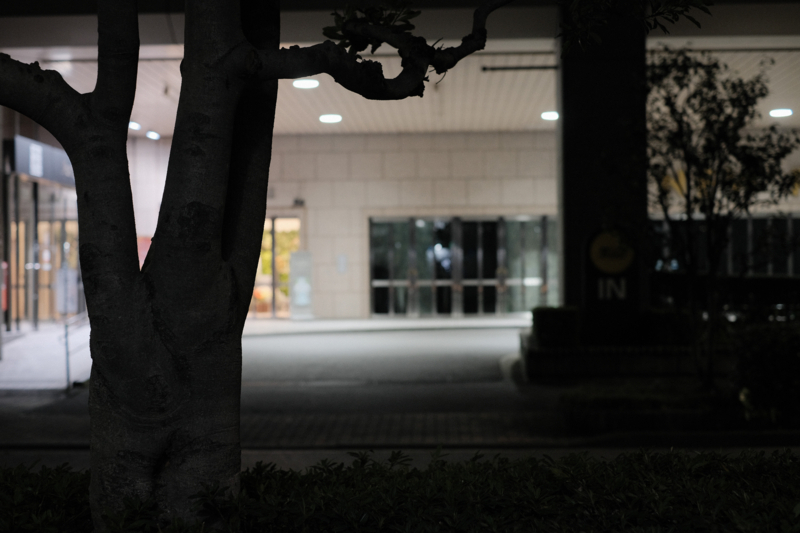 f:id:tenioso:20180317200148j:plain f:id:tenioso:20180317200148j:plain