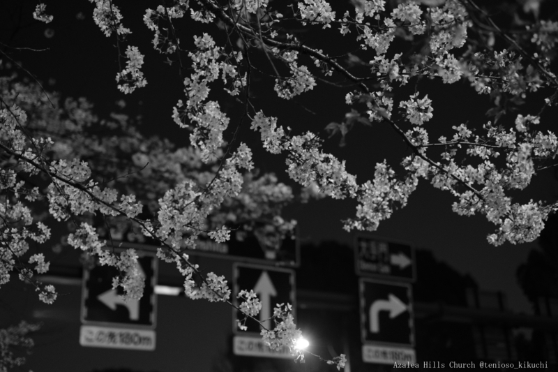 f:id:tenioso:20180415205943j:plain f:id:tenioso:20180415205943j:plain