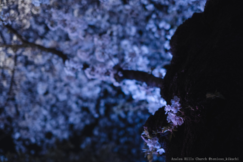 f:id:tenioso:20180415205944j:plain f:id:tenioso:20180415205944j:plain