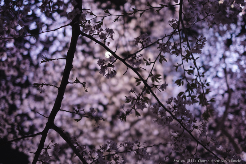 f:id:tenioso:20180415205945j:plain f:id:tenioso:20180415205945j:plain