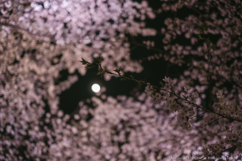 f:id:tenioso:20180415205946j:plain f:id:tenioso:20180415205946j:plain