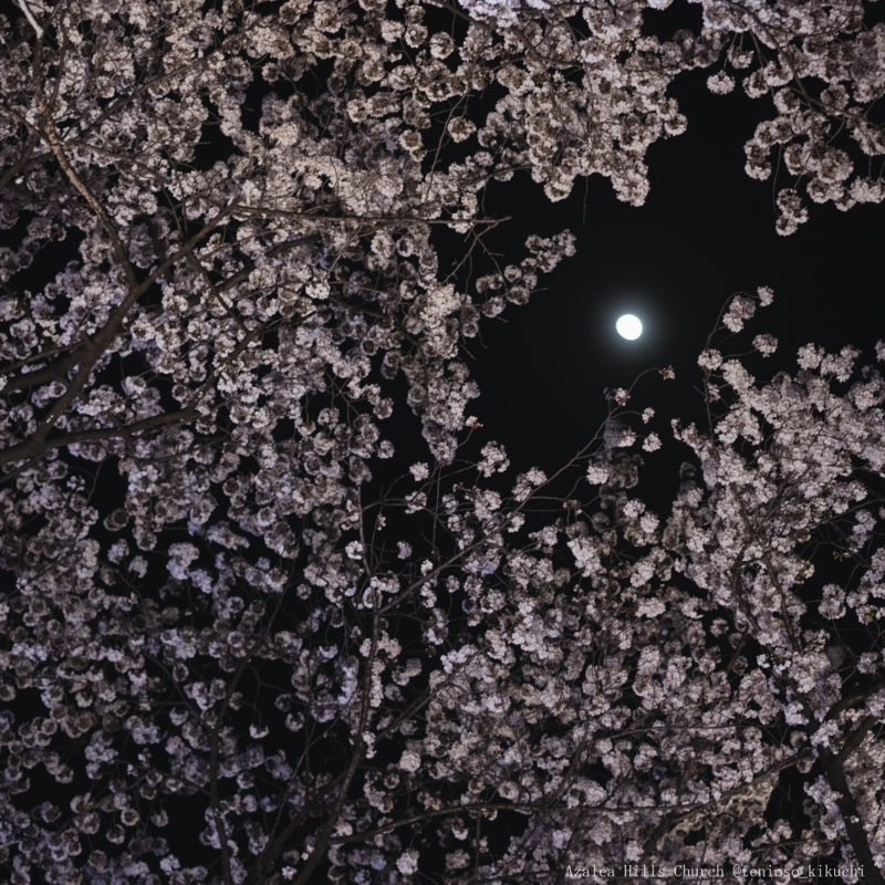 f:id:tenioso:20180415205947j:plain f:id:tenioso:20180415205947j:plain