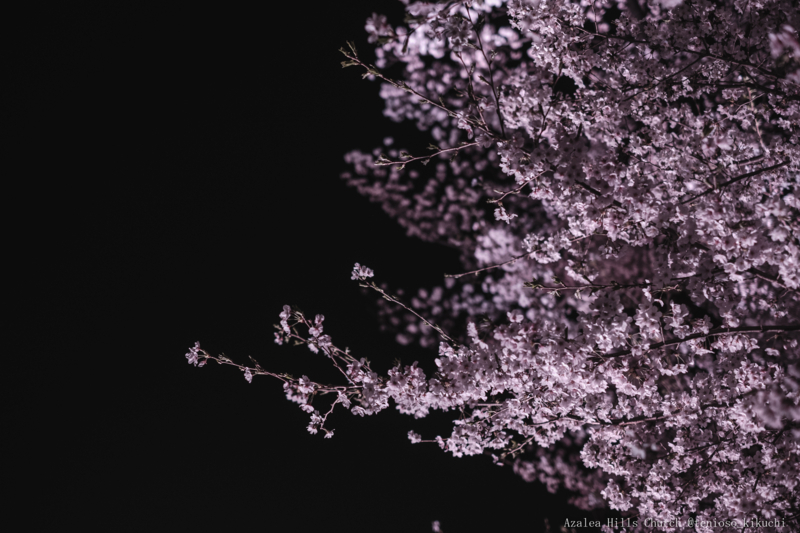 f:id:tenioso:20180415205948j:plain f:id:tenioso:20180415205948j:plain