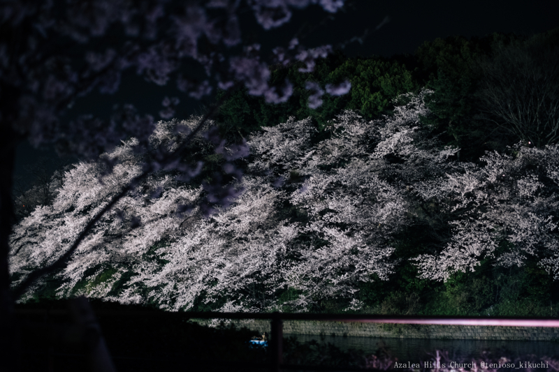 f:id:tenioso:20180415205949j:plain f:id:tenioso:20180415205949j:plain