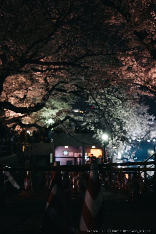 f:id:tenioso:20180415205950j:plain f:id:tenioso:20180415205950j:plain