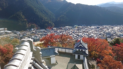 f:id:tenjirou8989:20201114125404j:plain