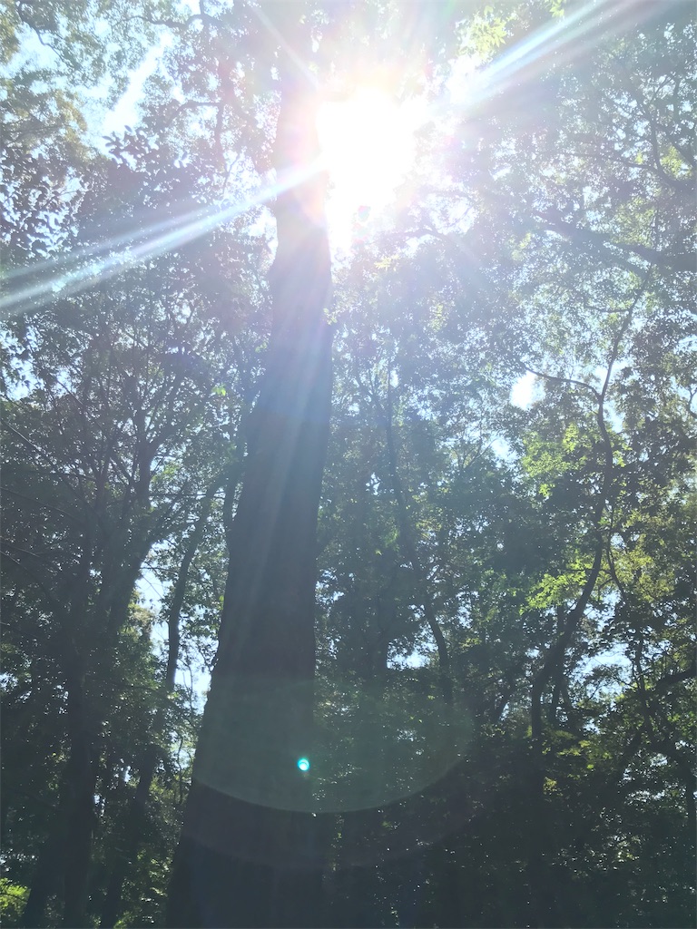 f:id:tenjo09:20191228142000j:image f:id:tenjo09:20191228142000j:image