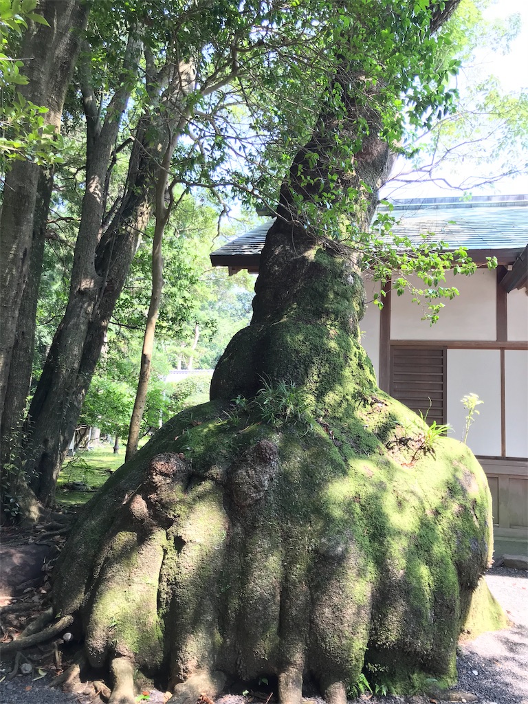 f:id:tenjo09:20191228142015j:image f:id:tenjo09:20191228142015j:image