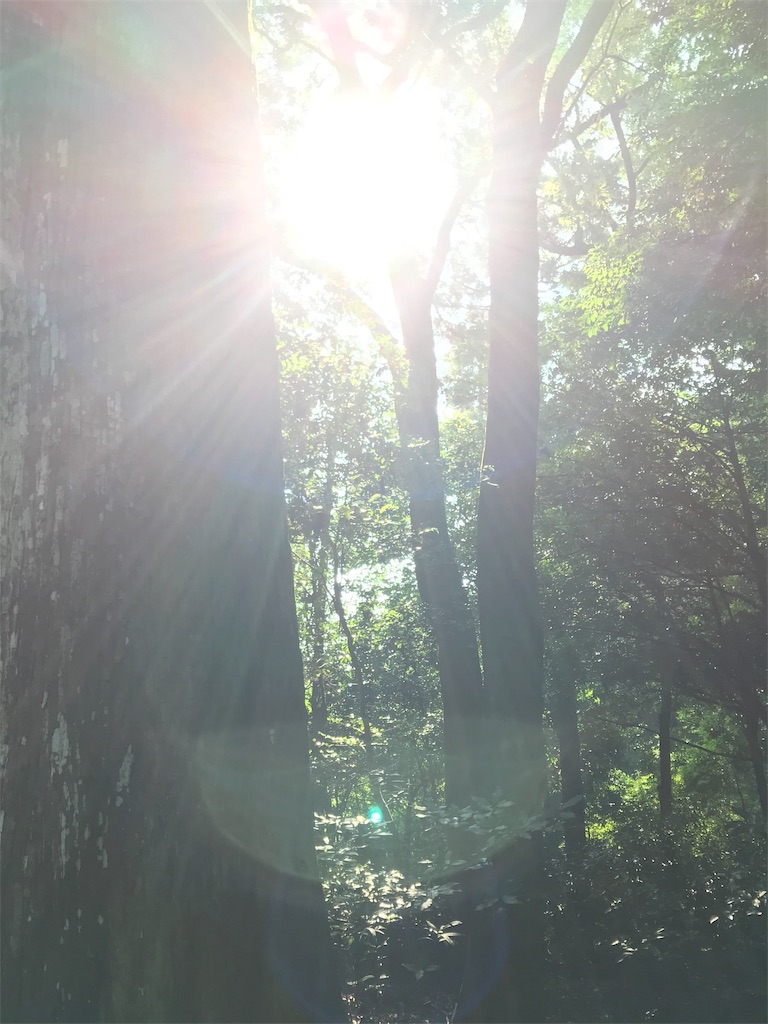 f:id:tenjo09:20191228142040j:image f:id:tenjo09:20191228142040j:image