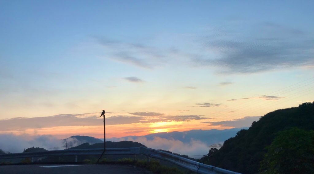 f:id:tenjo09:20191229211108j:image f:id:tenjo09:20191229211108j:image